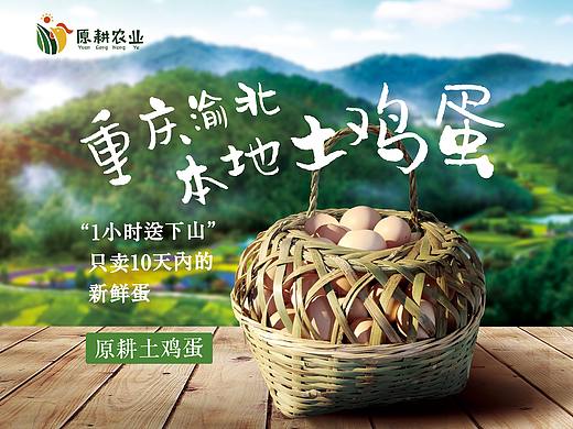 农家土鸡土鸡蛋详情页/banner海报