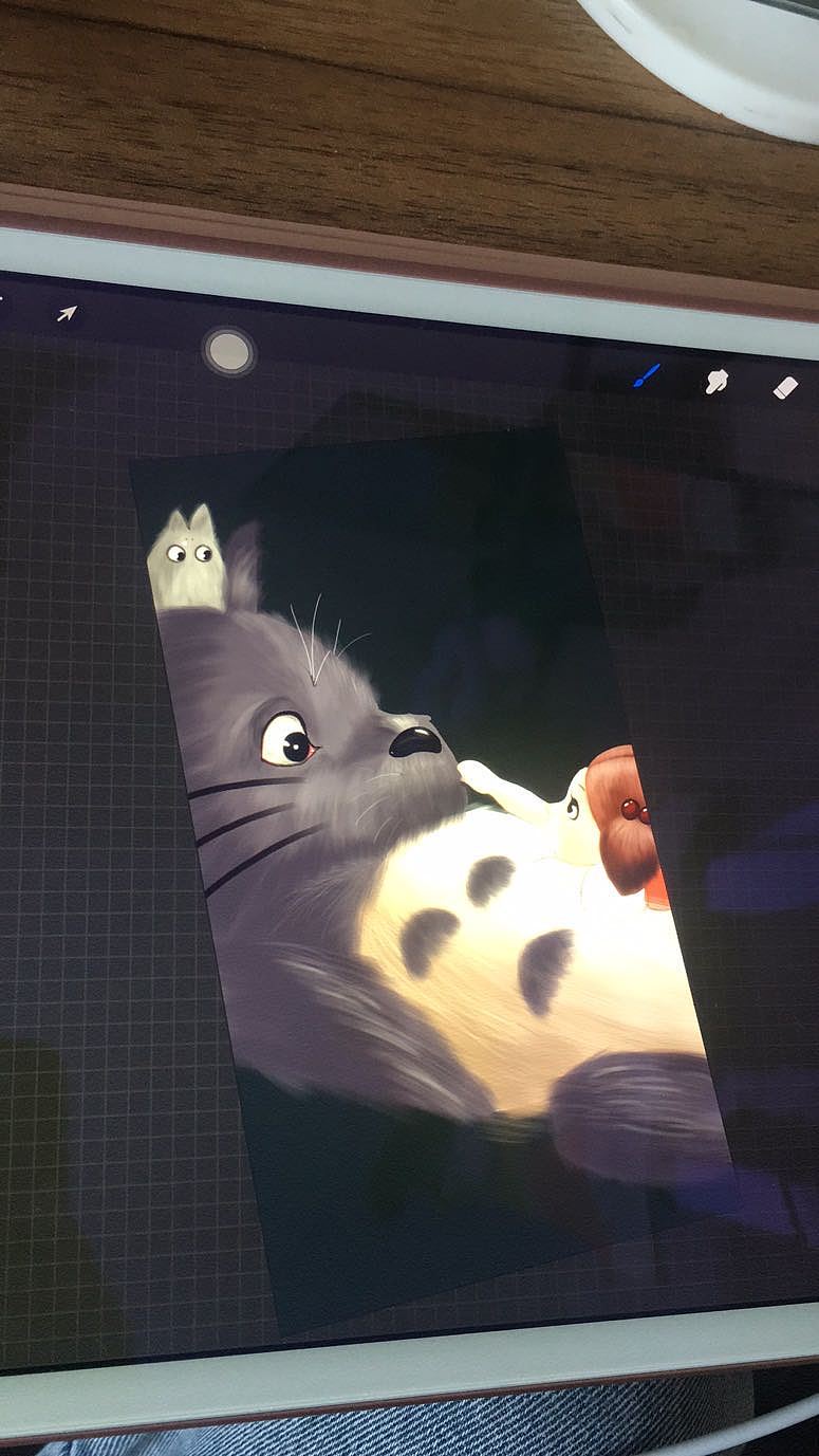 procreate手绘龙猫（图ZMjIzNTYxMDY0） - 创作习作 - 站酷设计师千阳livia原创素材 - 站酷ZCOOL