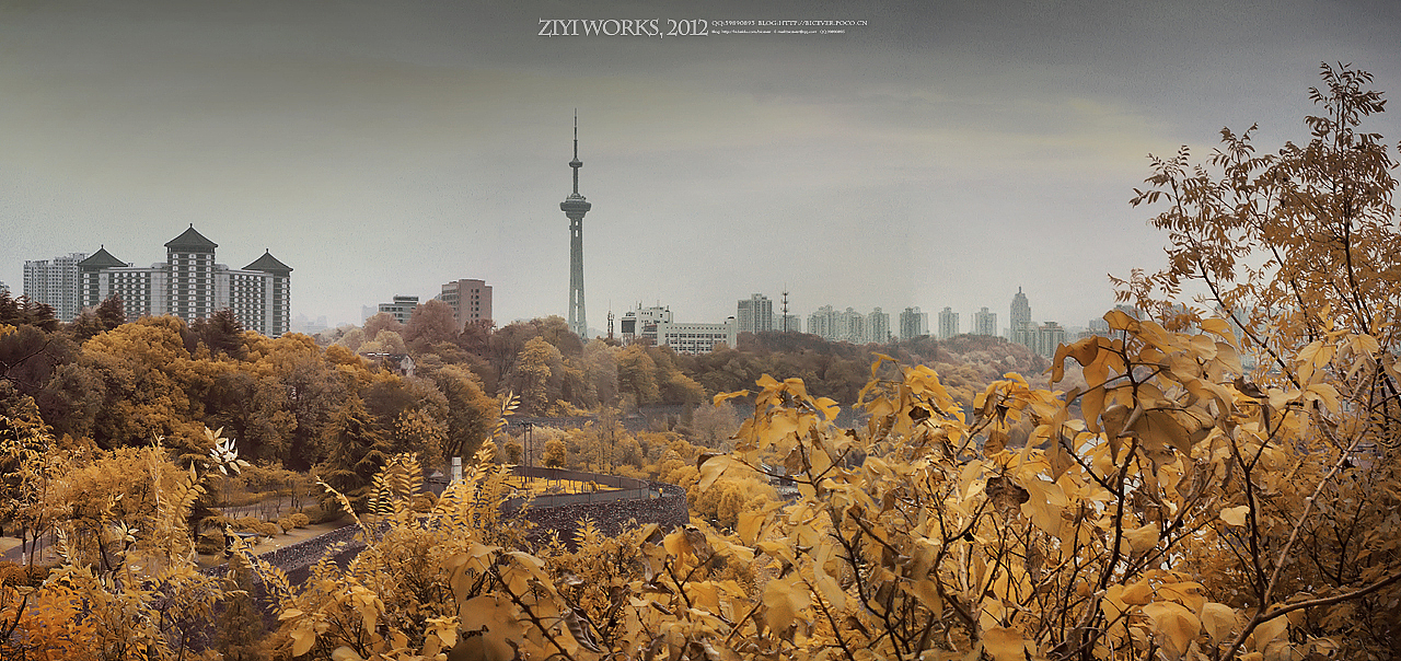 《八字山》590篇