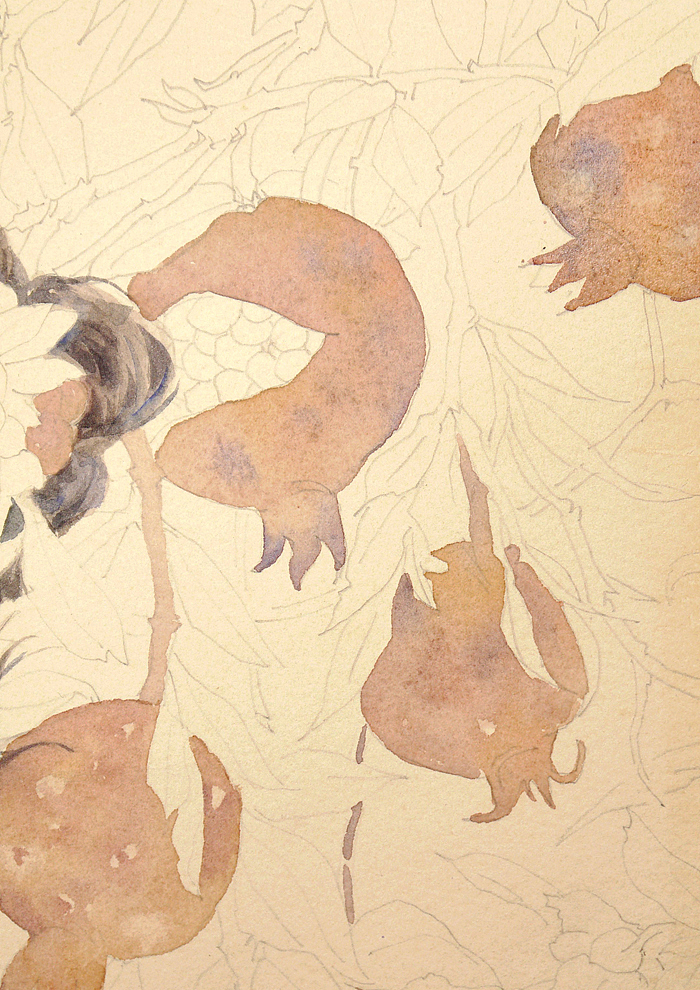 石榴红满（图ZOTcxMjYzNjQ=） - 商业插画 - 站酷设计师红花HONGHUA原创素材 - 站酷ZCOOL