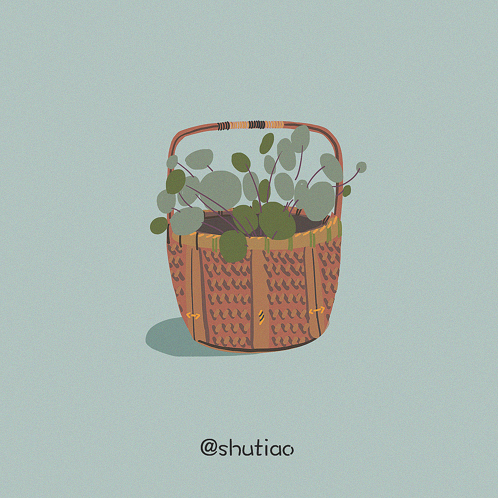一日一画竹编与花集合|插画|创作习作|薯条st - 原创作品 - 站酷