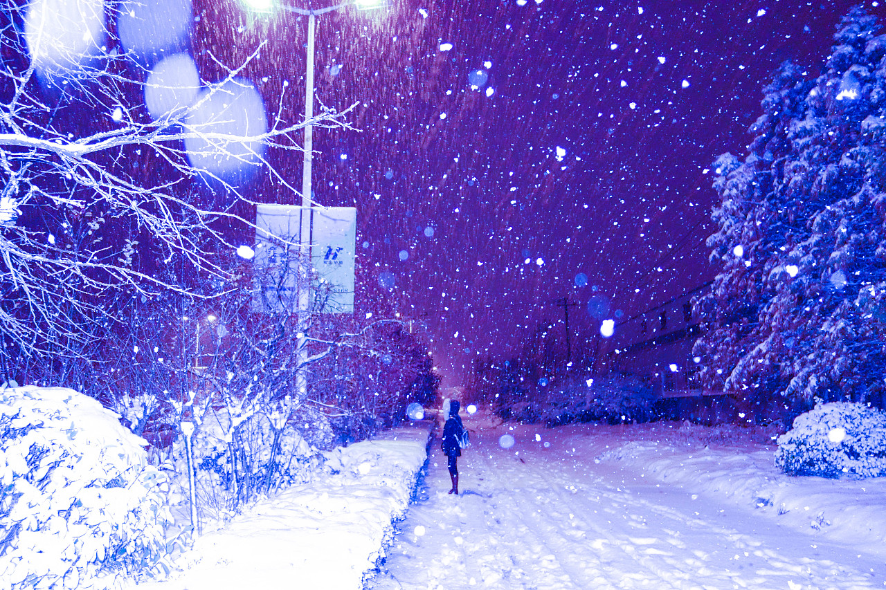 路灯下的童话雪夜|摄影|风光|都木屑 - 原创作品 - 站酷 (ZCOOL)