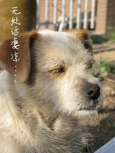 我结交了一群新朋友（图ZMjc2MjE0ODg=） - 文案/策划 - 站酷设计师画师x如也原创素材 - 站酷ZCOOL