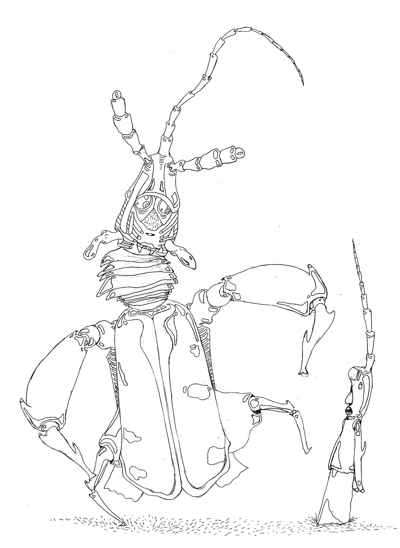 虫子人的铅笔线稿