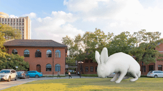 大白兔AR增强现实互动APP作业练习