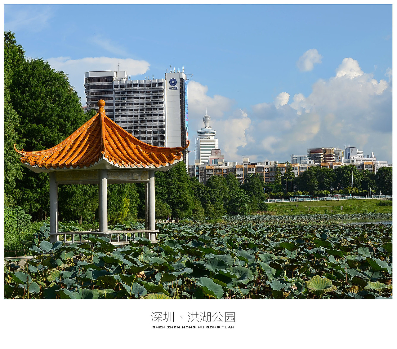 深圳·洪湖公园