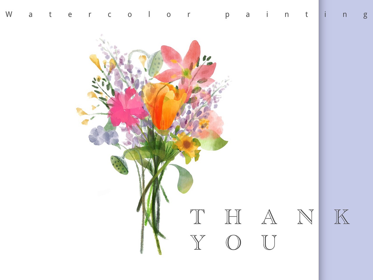 水彩植物拆分练习