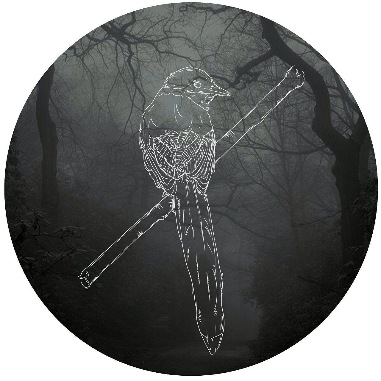 工作为客户做的线描稿~又简单粗暴的加了一