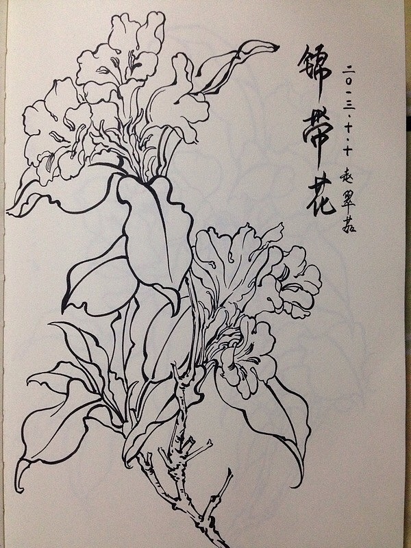 花卉 线稿（图ZMzQ5ODU2MDA=） - 新锐潮流插画 - 站酷设计师小茹的画画世界原创素材 - 站酷ZCOOL
