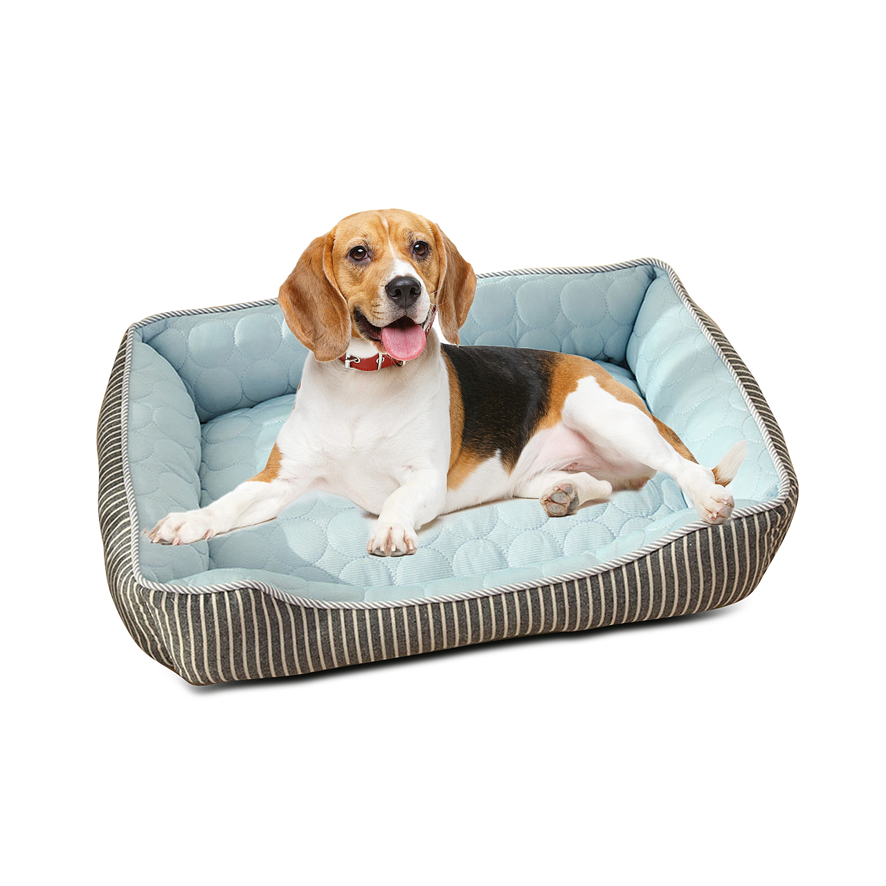 亞馬遜作品（圖ZMjYxMTgzNjIw） - 其他平面 - 站酷設(shè)計(jì)師Ulahlekile原創(chuàng)素材 - 站酷ZCOOL