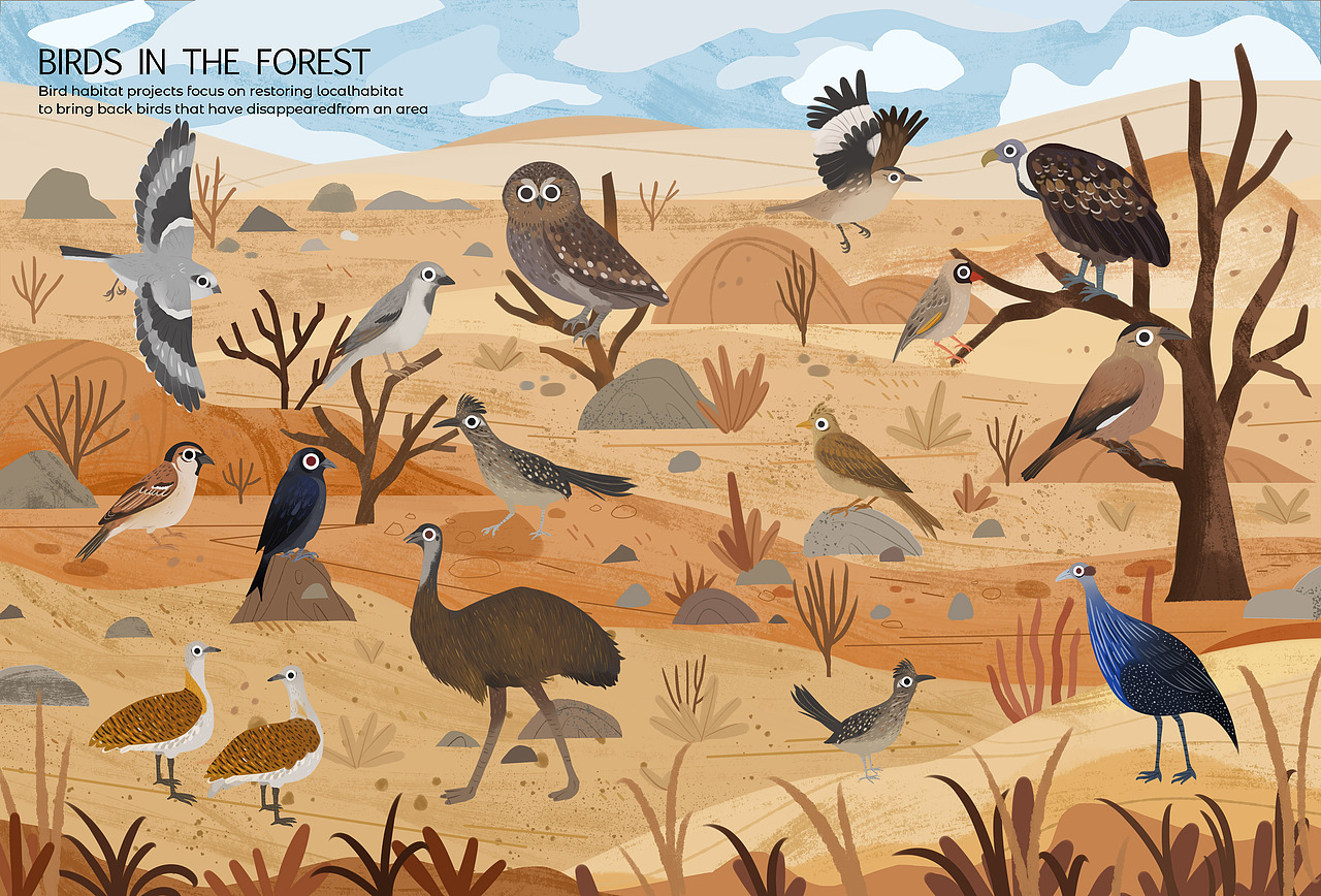 站酷十年,画出了21本书