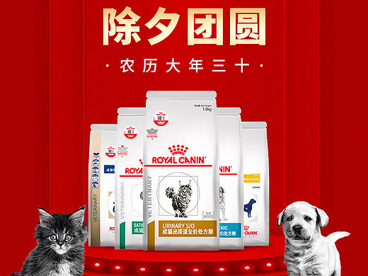 皇家新年海报