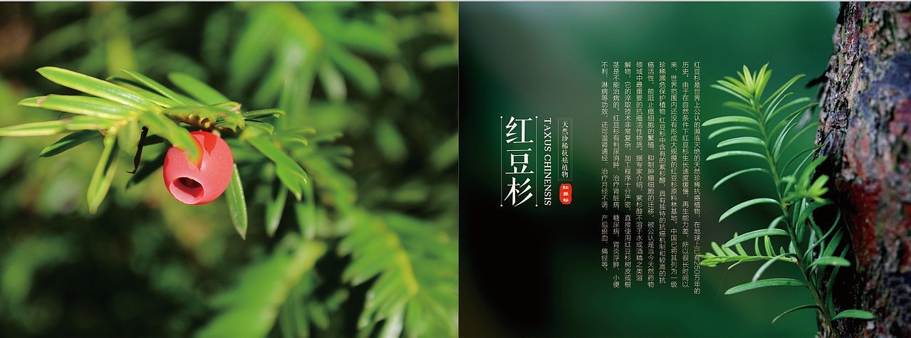 家纺宣传画册（图ZNDI2NzIxNTY=） - 书籍/画册 - 站酷设计师panzhaoyue原创素材 - 站酷ZCOOL
