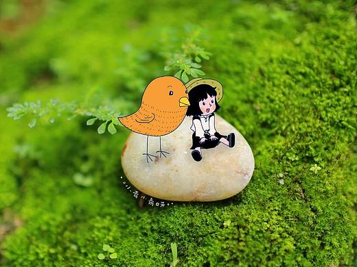 大大的世界小小的我——植物篇