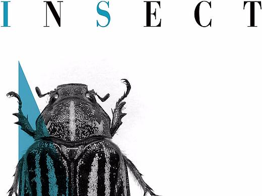 雜志封面（個人主頁-ZMjQ0MTE0OTY=） - 海報 - 站酷設計師灰葉森林原創(chuàng)素材 - 站酷ZCOOL