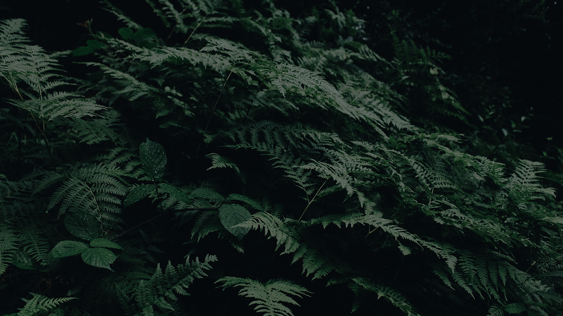 龜派氣功波的個(gè)人主頁（封面預(yù)覽） - 主頁封面設(shè)置 - 站酷設(shè)計(jì)師龜派氣功波原創(chuàng)素材 - 站酷ZCOOL