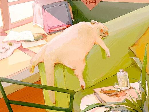 猫猫的假期