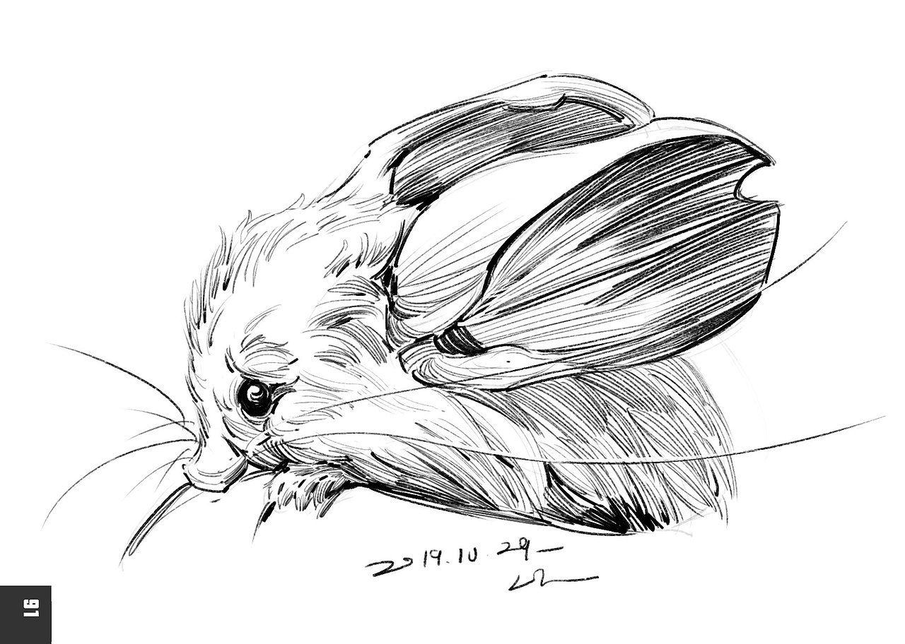 2019速写簿（图ZMTkyODg0OTIw） - 绘画 - 站酷设计师半岛酒徒原创素材 - 站酷ZCOOL