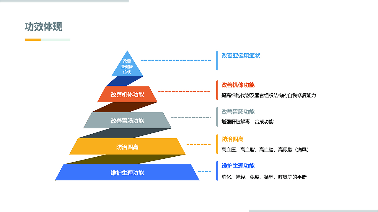 身体排毒 产品手册