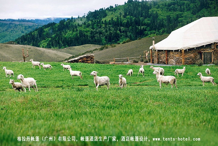 格拉丹帐篷营地酒店,还原了那颗隐匿于世质朴的