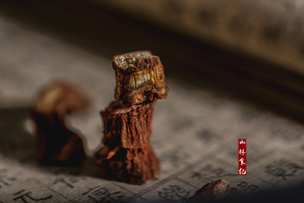 中国风美食摄影 │ 蒲公英