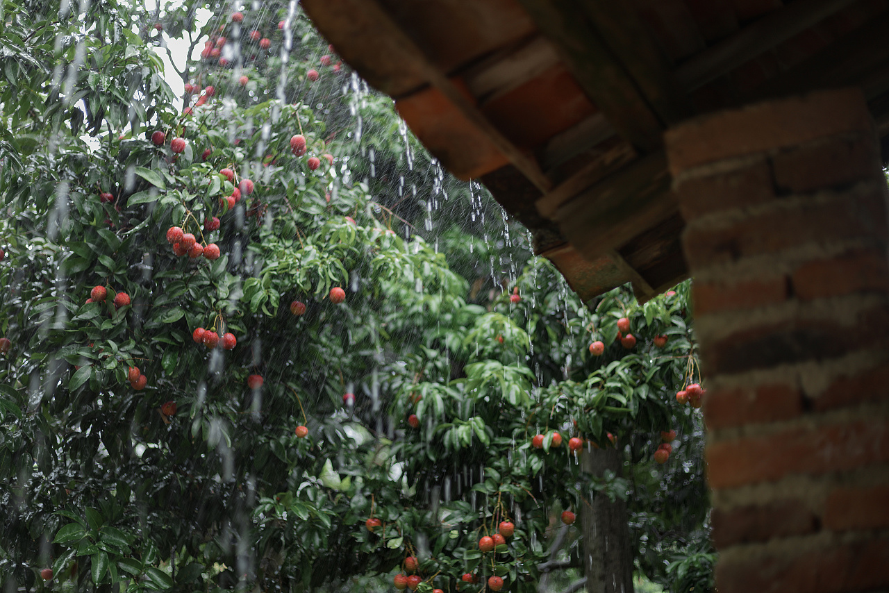 夏雨初晴|摄影|人像摄影|摄影师墨川 - 原创作品 - 站酷 (zcool)