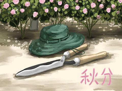【治愈的花园】秋分（插画）
