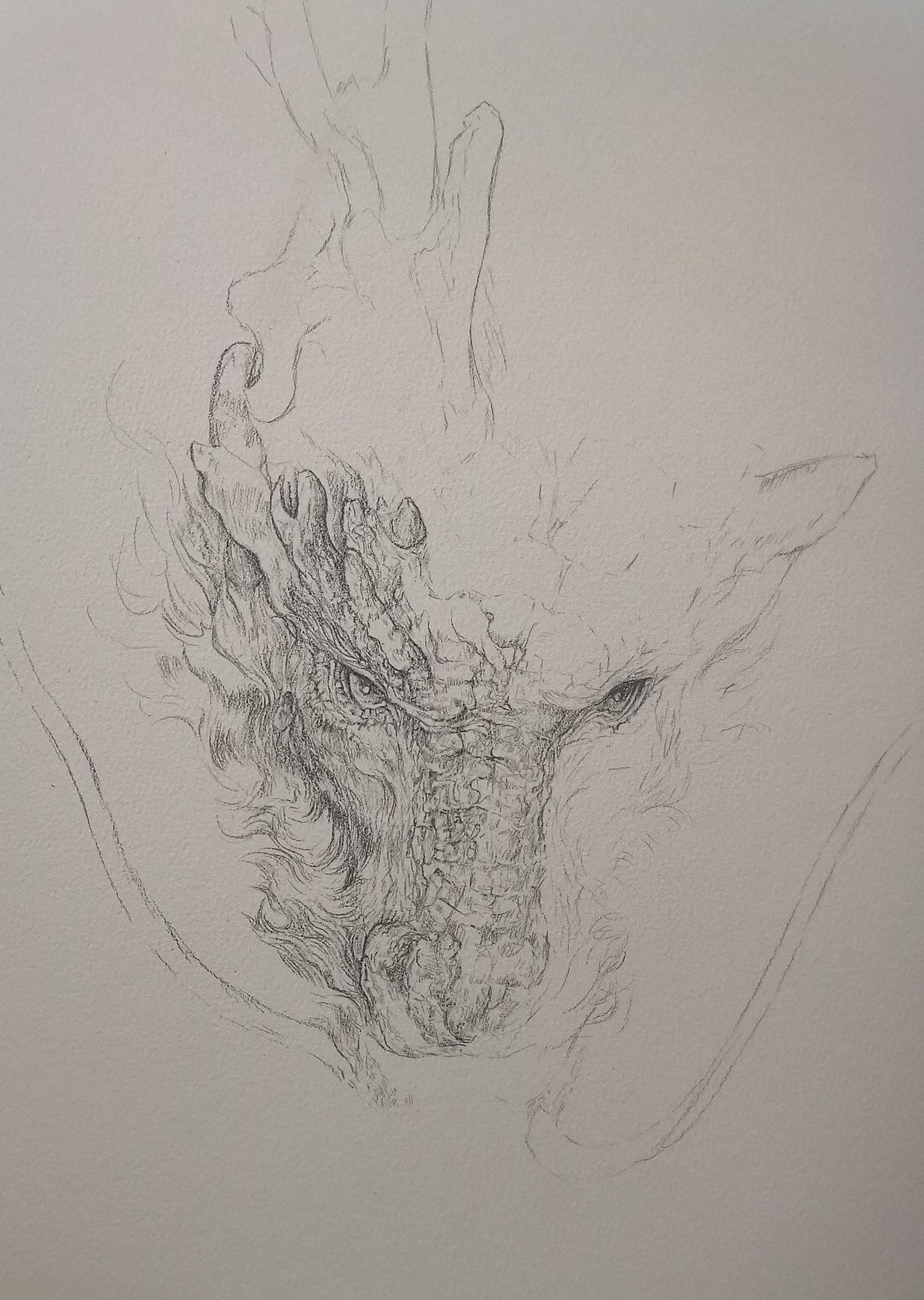 勾个线稿,画龙