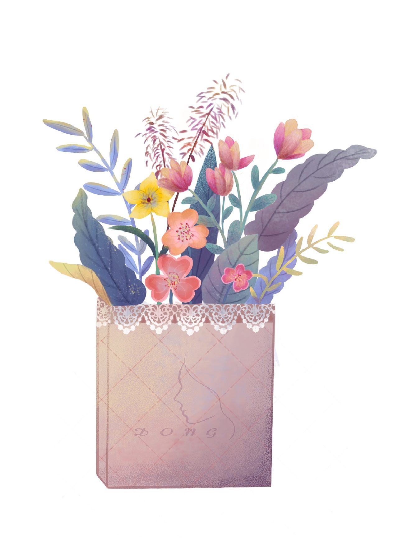 原创植物组合插画