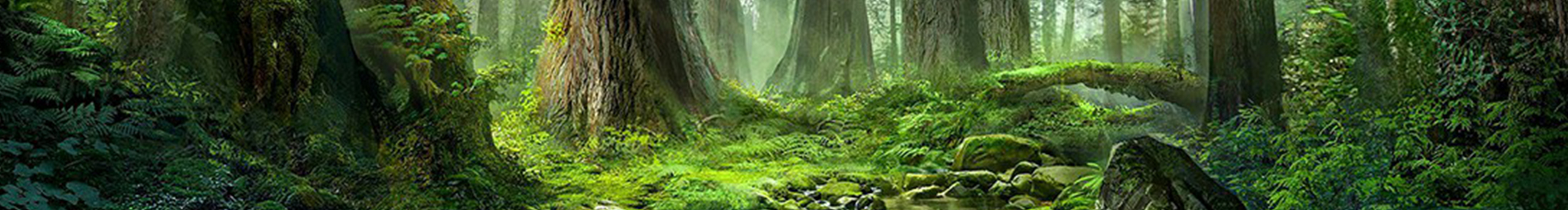 My白勺的个人主页（封面预览） - 主页封面设置 - 站酷设计师My白勺原创素材 - 站酷ZCOOL