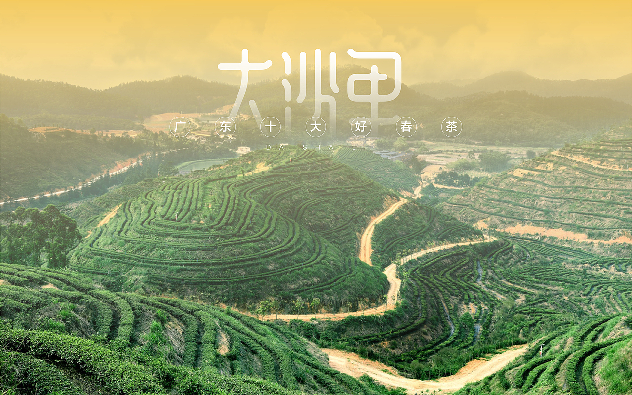 琢品牌—大沙里茶叶包装升级(图ZMTU2ODg0ODI4) - 包装 - 站酷设计师琢字先生原创素材 - 站酷ZCOOL