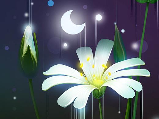 植物练习（个人主页-ZNTUwMTczMTY=） - 商业插画 - 站酷设计师好吃坚果原创素材 - 站酷ZCOOL