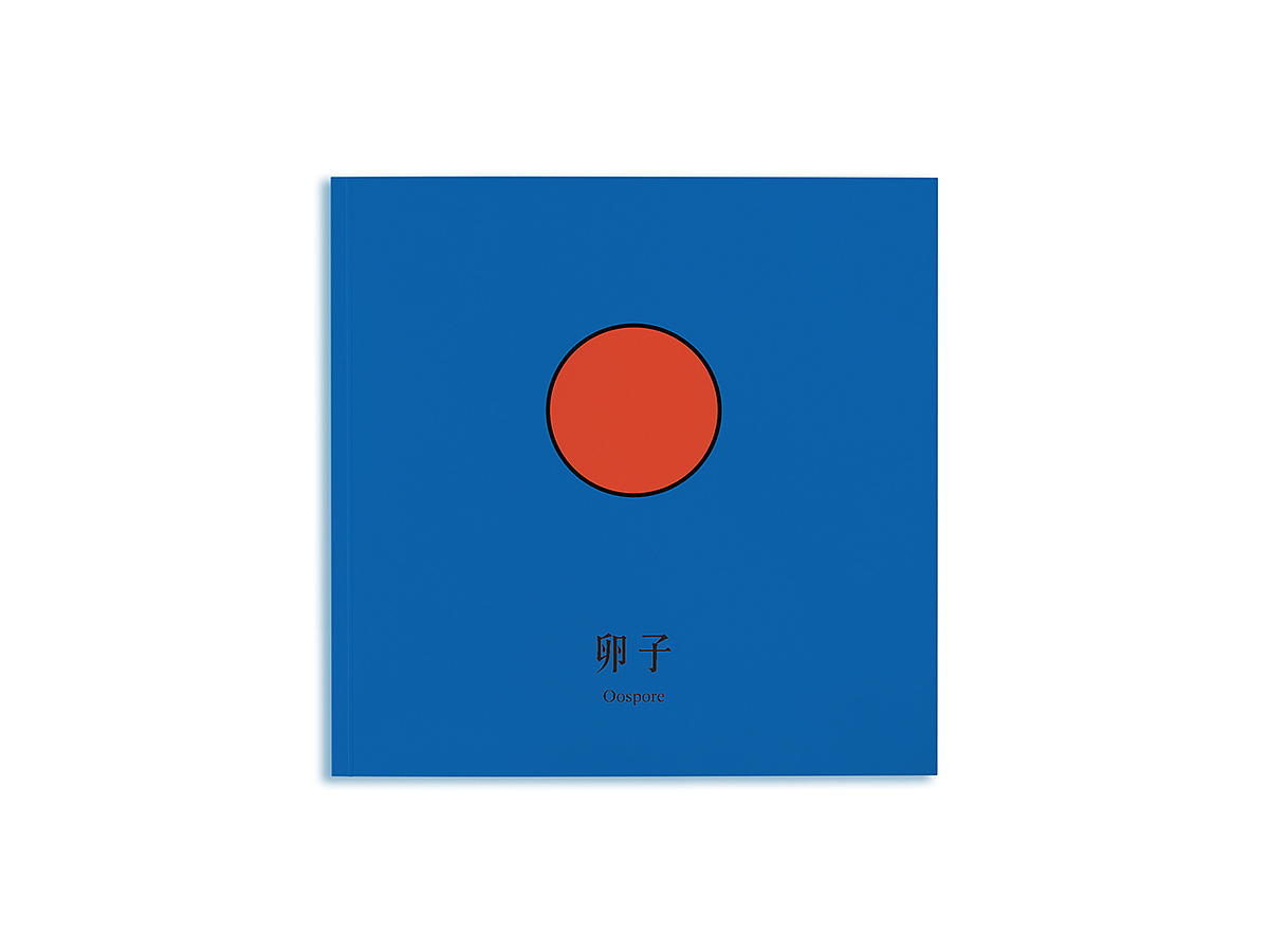 【毕业设计】三十八度女子防身学院（图ZMTI5MjgyNDM2） - 品牌 - 站酷设计师木子的彗心原创素材 - 站酷ZCOOL