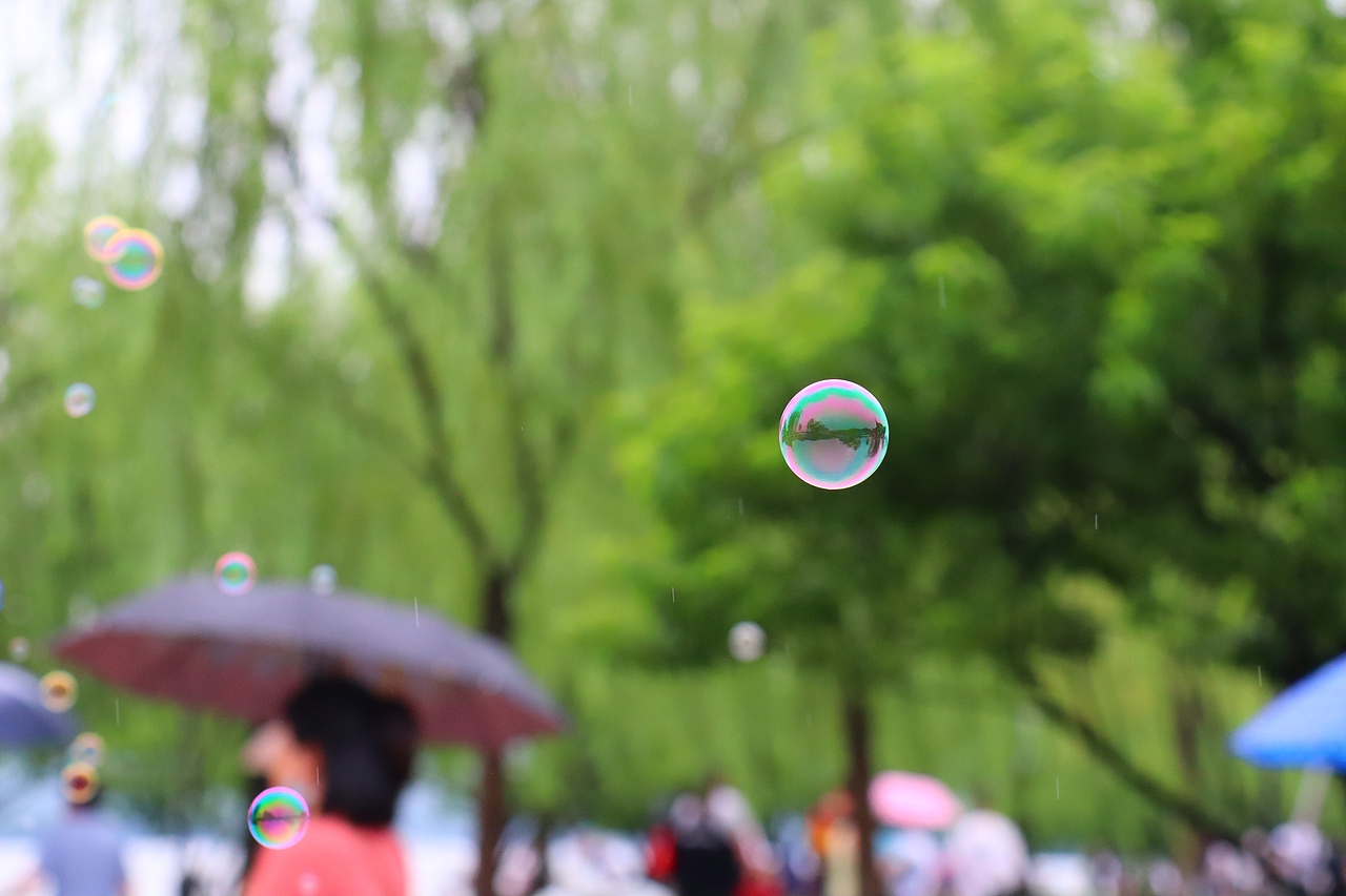 西湖夏雨荷（图ZMjE1NzI1NjA4） - 产品摄影 - 站酷设计师loveago原创素材 - 站酷ZCOOL