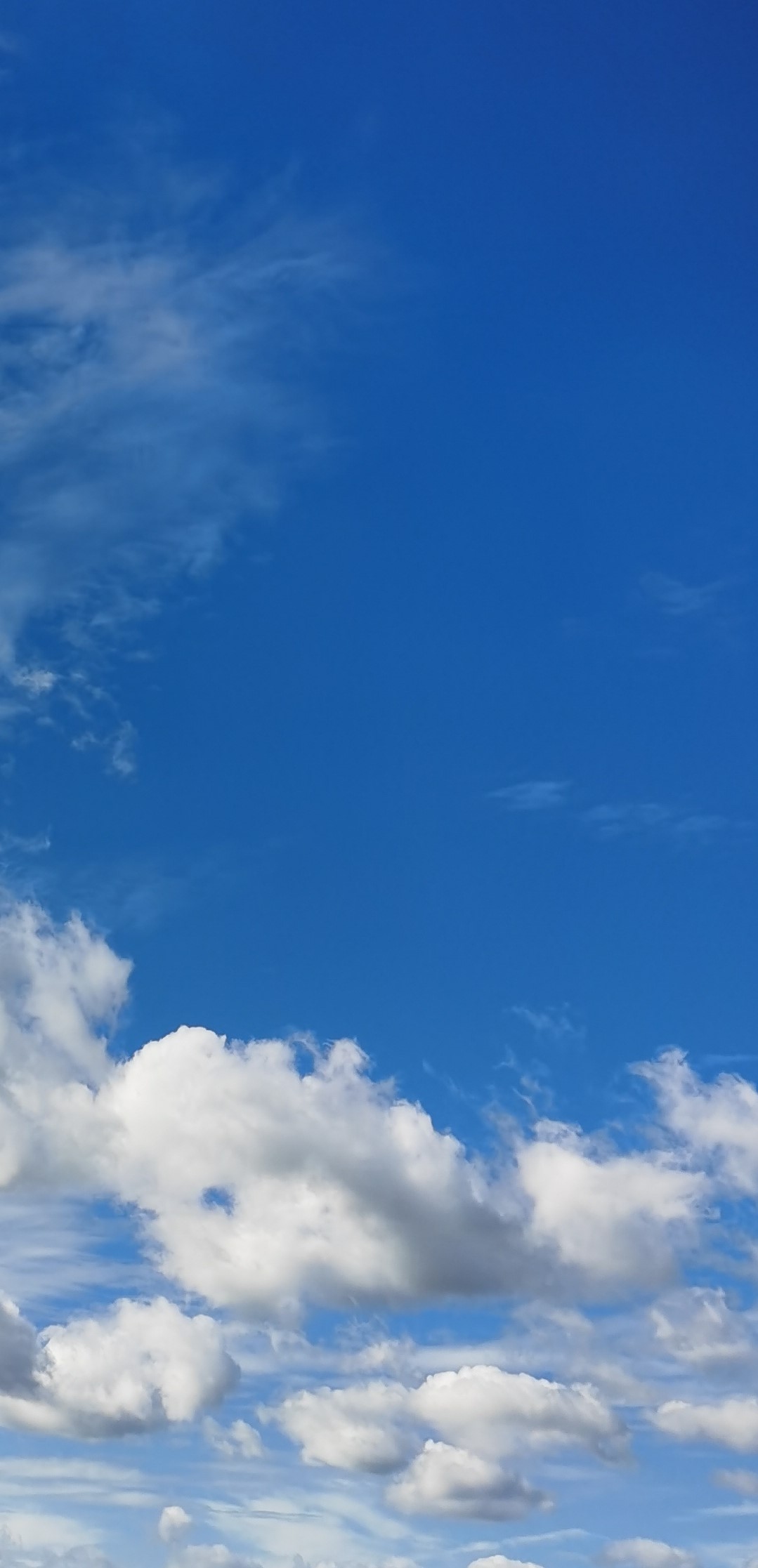 聲_西西的個人主頁（背景預覽） - 主頁背景設(shè)置 - 站酷設(shè)計師聲_西西原創(chuàng)素材 - 站酷ZCOOL