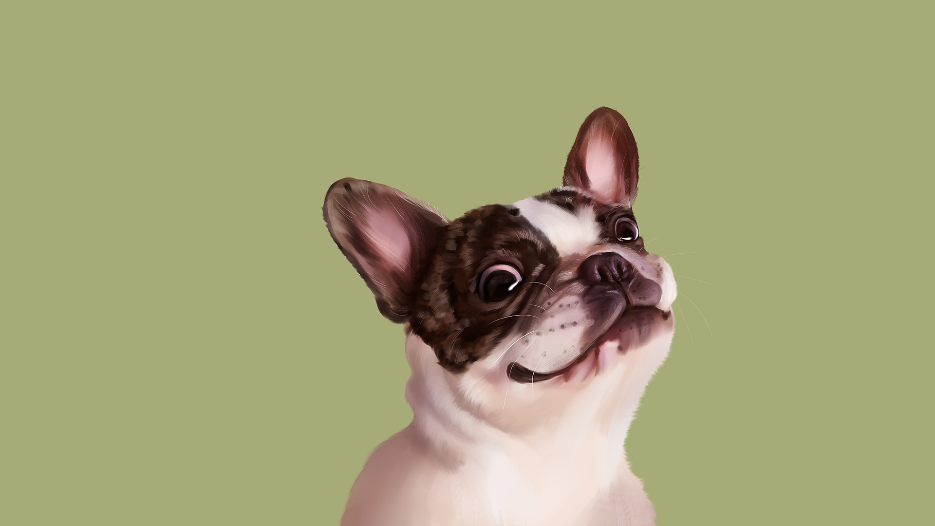 那些花儿007的个人主页（封面预览） - 主页封面设置 - 站酷设计师那些花儿007原创素材 - 站酷ZCOOL