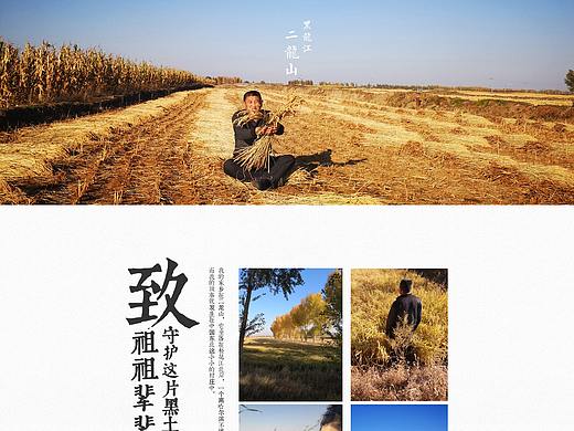 特产详情 大米农产品首页