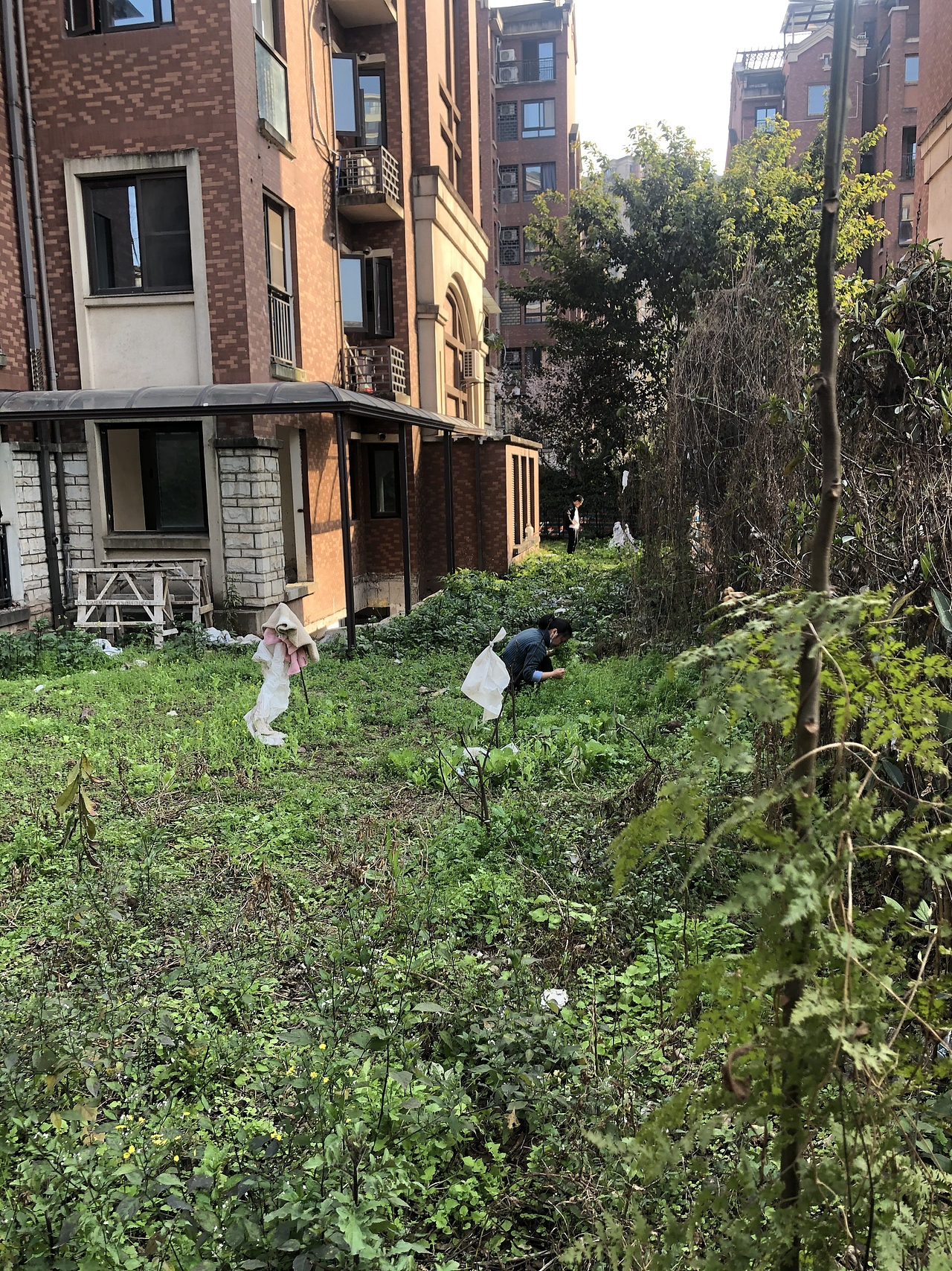 重庆渝北300平现代中式花园（纯设计）（图ZMjQ3MzM1MzUy） - 景观设计 - 站酷设计师TchWu景观设计原创素材 - 站酷ZCOOL