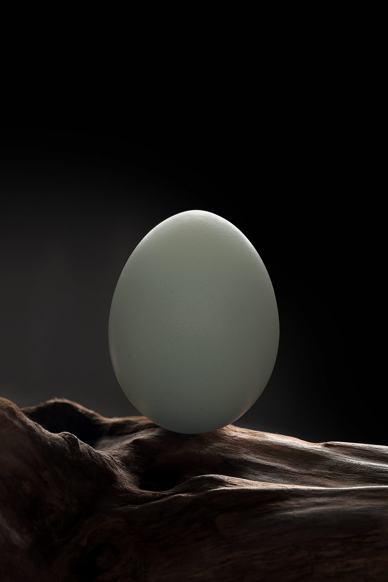 你想不到的蛋！（图ZNzY5NTQ1NjQ=） - 产品摄影 - 站酷设计师ATLoo威原创素材 - 站酷ZCOOL