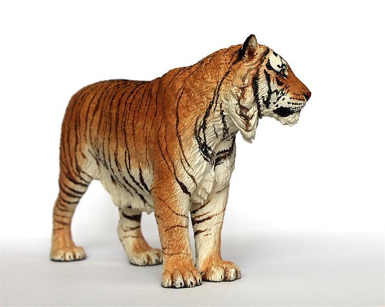 【大飞GK工作室】动物模型制作——虎九亚种之第三款 已灭绝虎种里海虎