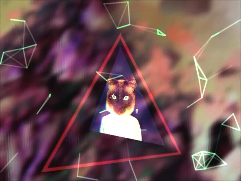 迷幻小野猫Psychedelic Wildcat（图ZMjU5MTQzMjQ=） - Motion Graphic - 站酷设计师RanStudio原创素材 - 站酷ZCOOL