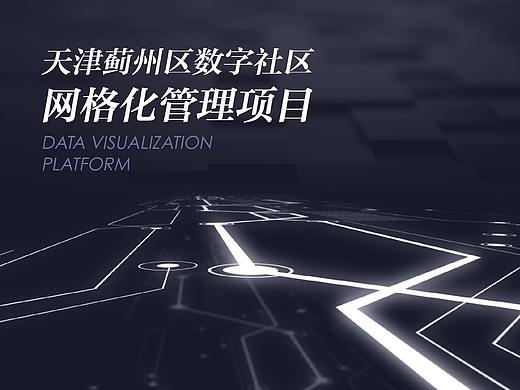 网格化管理项目