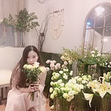 芳格子的头像