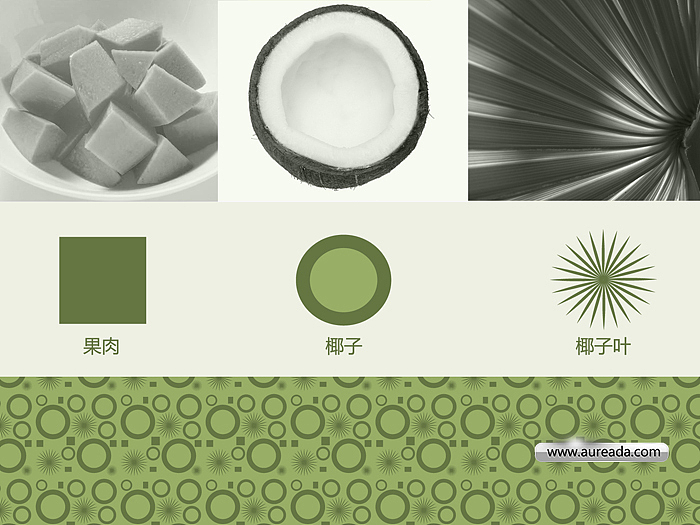 椰岛包装设计（图ZMjMwNTgwMDg=） - 包装 - 站酷设计师AOCHDA奥创原创素材 - 站酷ZCOOL