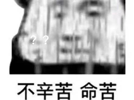 陈氏太极拳 俺老张家也得会