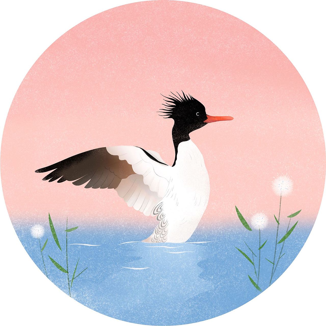 最濒危水鸟科普组画for北京市企业家环保基金会|插画|商业插画|於遥远