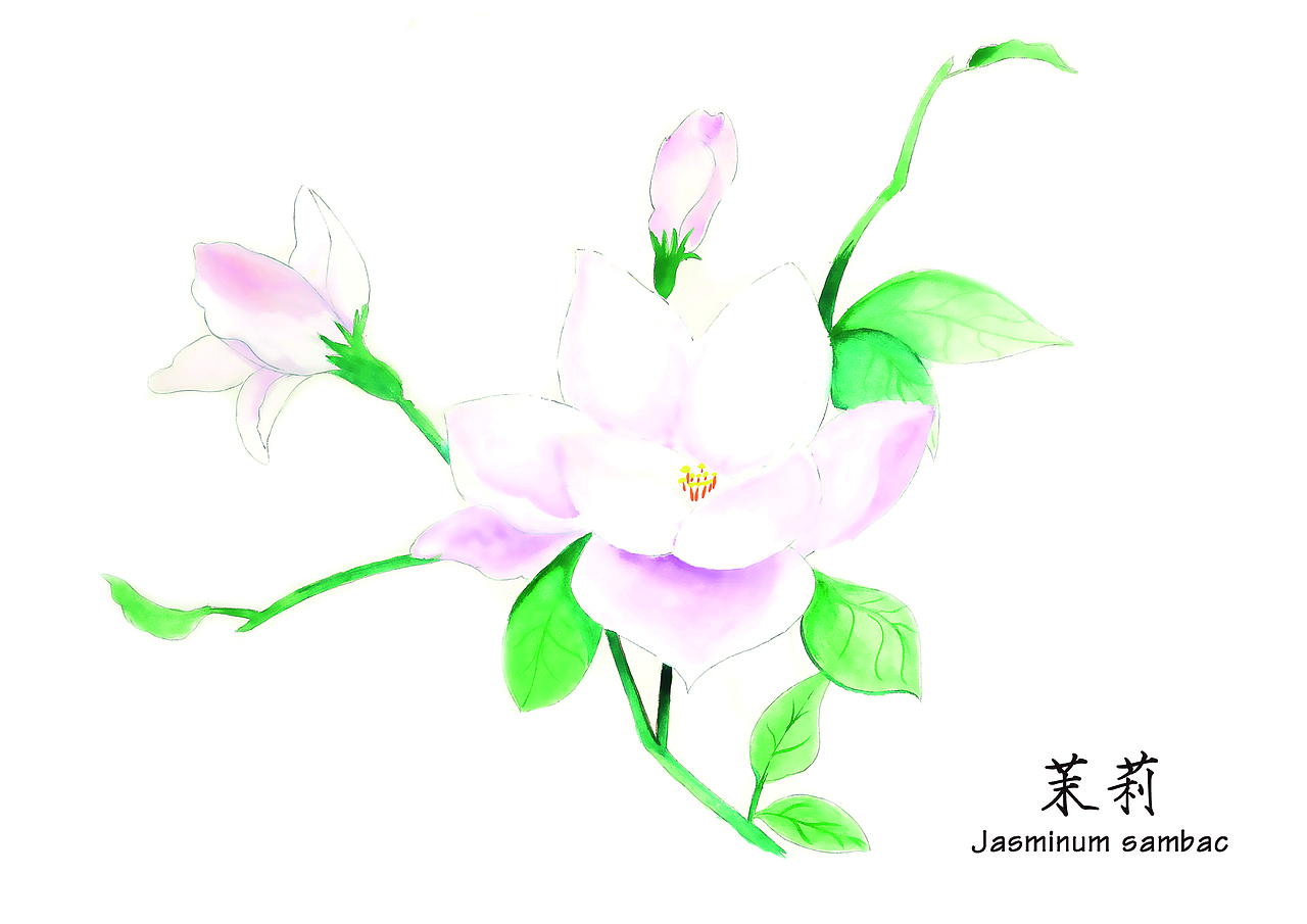 植物插画（图ZMjg4ODMwMzY=） - 商业插画 - 站酷设计师在下陈三岁_原创素材 - 站酷ZCOOL