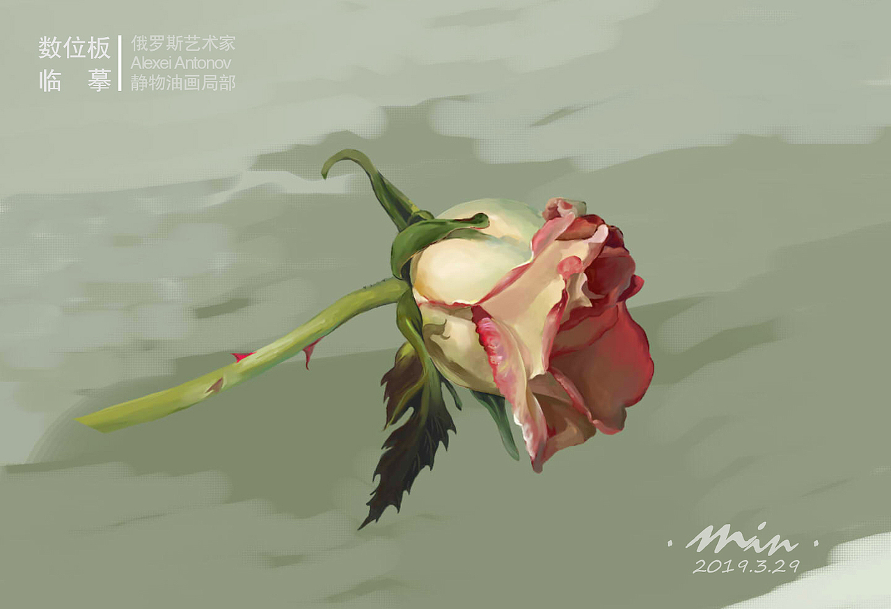 玫瑰（图ZMTk5MzEwODk2） - 艺术插画 - 站酷设计师MM99805020123原创素材 - 站酷ZCOOL