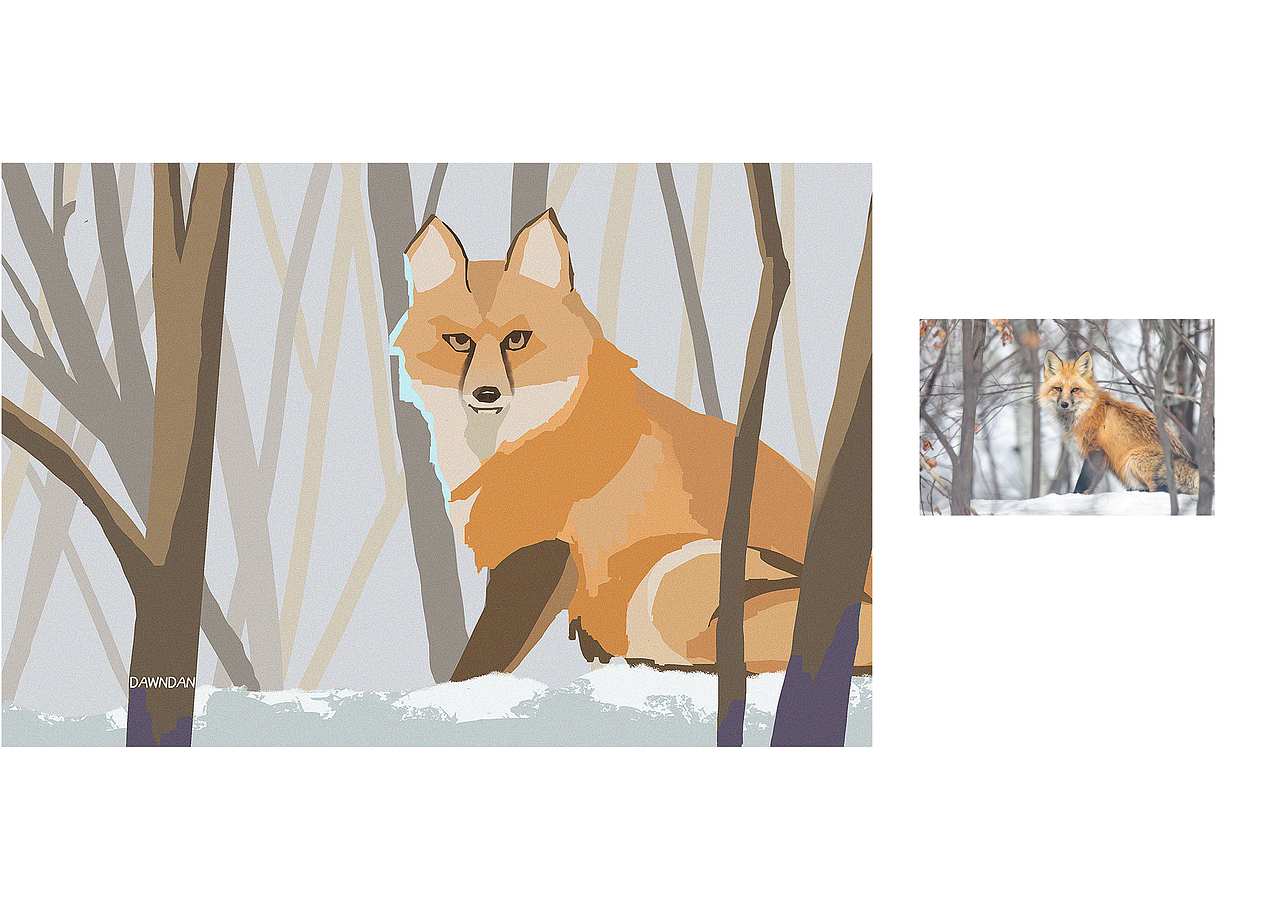 2021年8月速涂练习|食物&动物