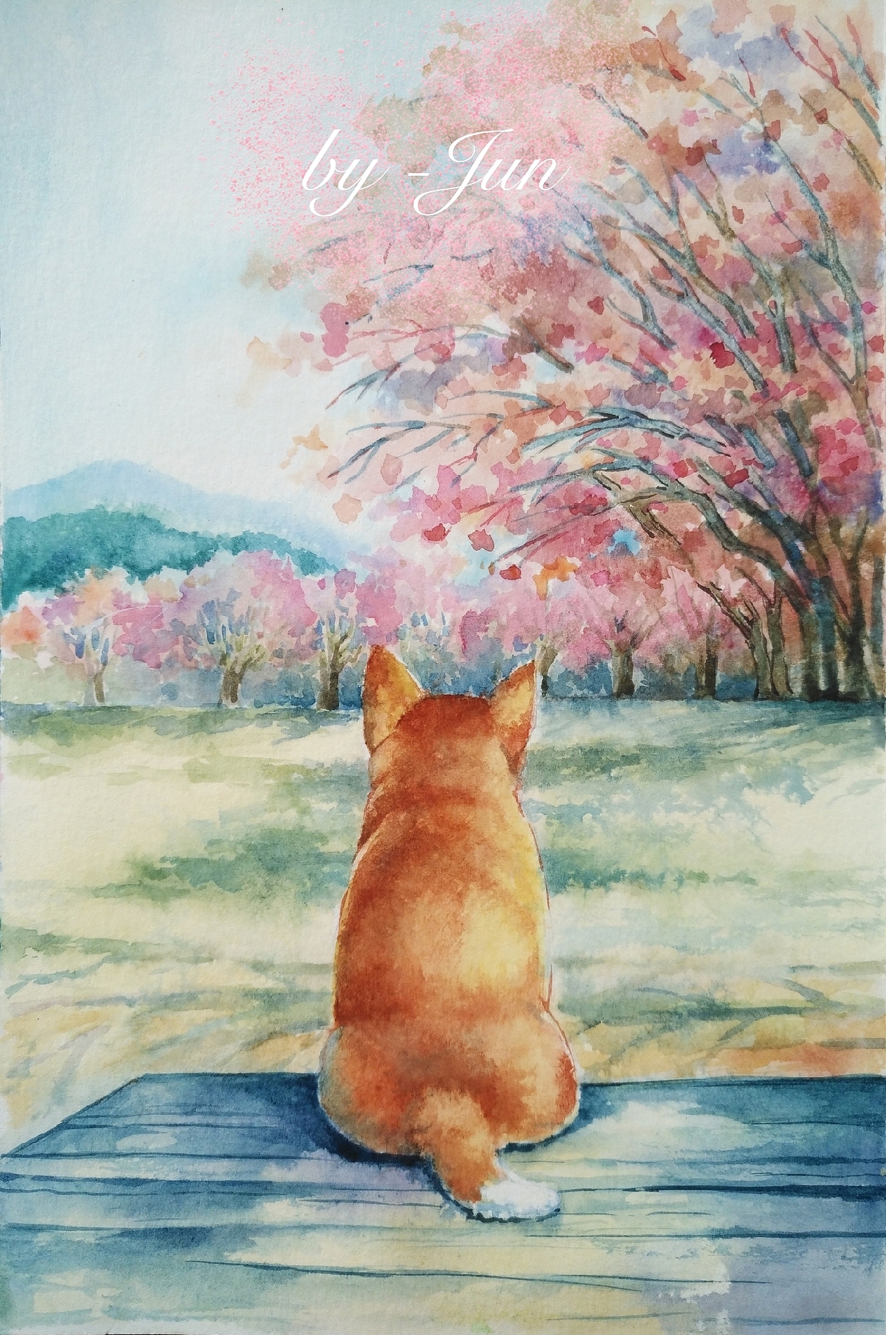 采菊东篱下,悠然见南山🍵🌿